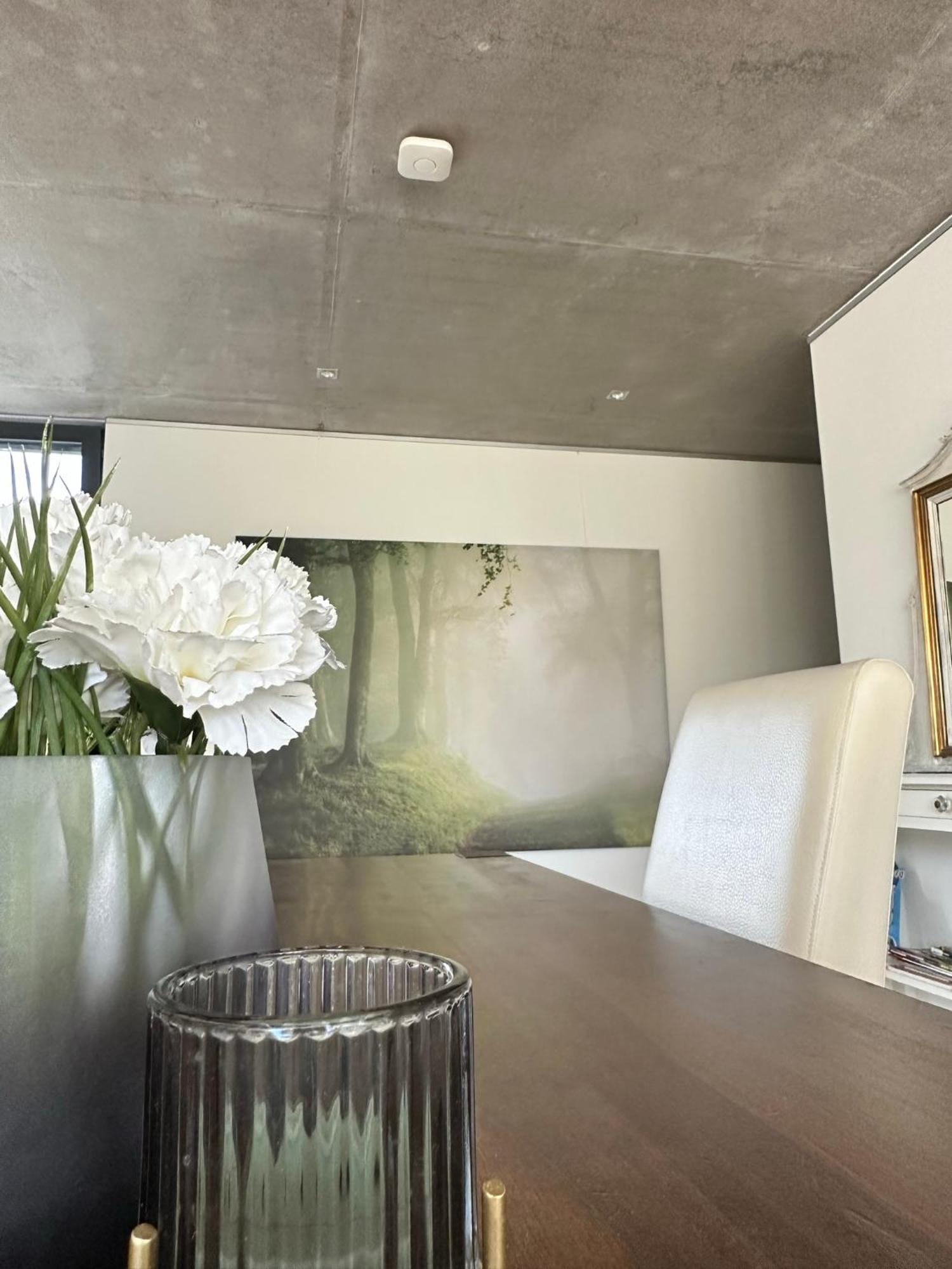 Vicas Ferienwohnung Kappel-Grafenhausen Exteriör bild